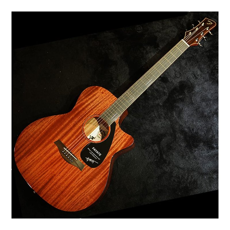 Fayate 法雅特 F4116GAC 41吋 桃花心木合板 木吉他 (含原廠琴袋) 入門/初學 — 三峽吉他 / Bass