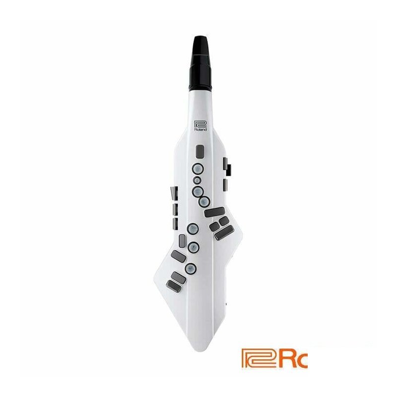 Roland 特價出清 Roland AEROPHONE GO AE-05C 電吹管 含國樂 — 三峽銅管樂器