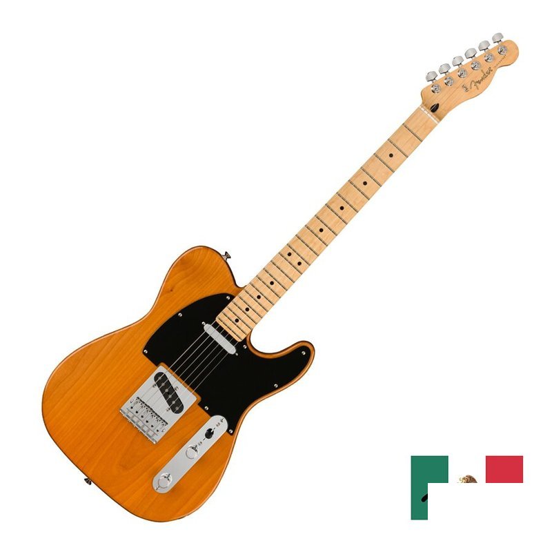 Fender 限量版 Fender Player LTD Tele MNAGN 電吉他 — 三峽電吉他