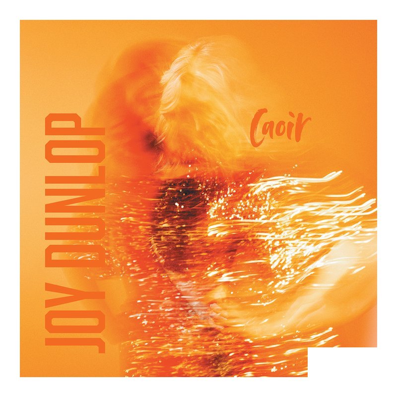 Dunlop Dunlop AAL01 ANIMALS AS LEADERS .73mm Pick 3片 — 三峽Pick