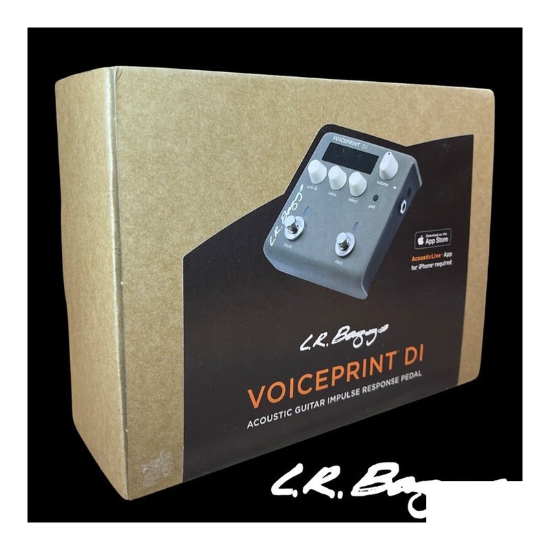 公司貨 L.R. Baggs VOICEPRINT DI 前級 IR 箱體模擬效果器 一年保固 — 三峽效果器