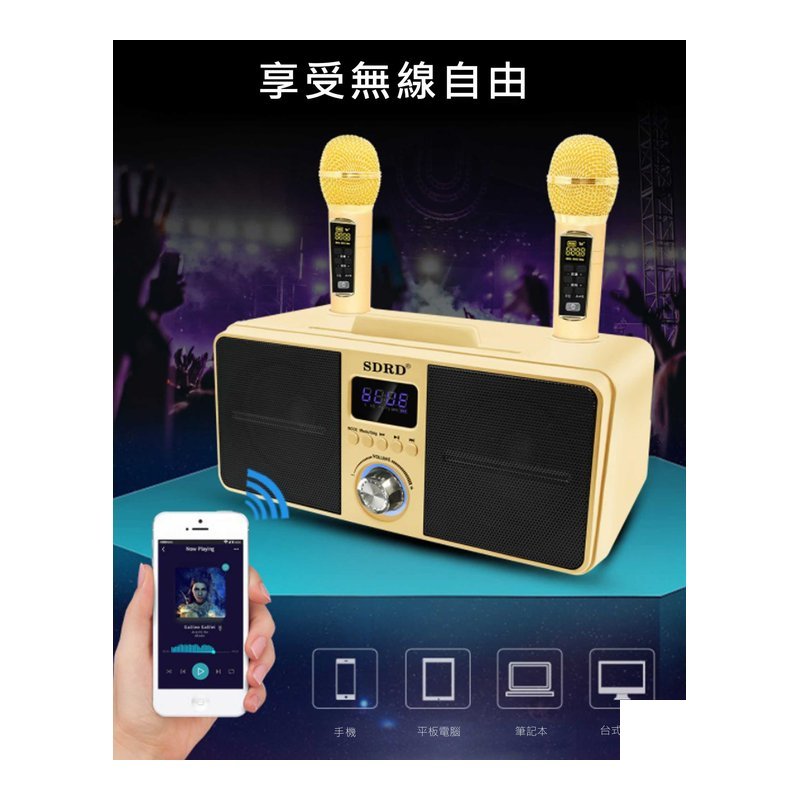 en.CORE 300 電容式麥克風 手持式 附麥克風線 — 三峽麥克風