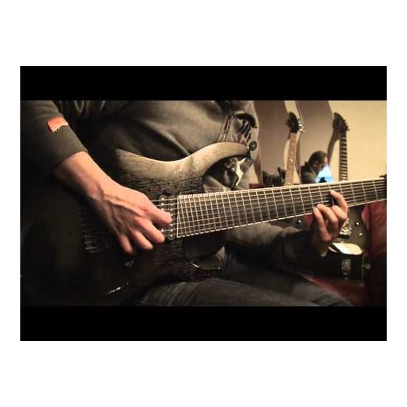 波蘭 Taurus Amp DEXTER MK-2 Polyphonic octaver 效果器 — 三峽效果器