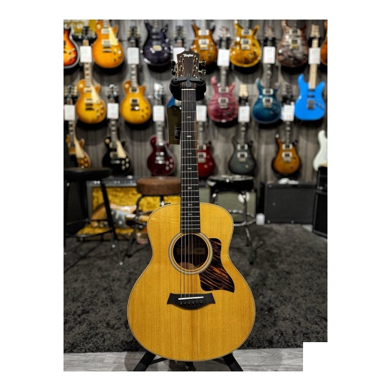 Taylor Taylor GS Mini-e 50周年限量款 Rosewood 限量旅行吉他 公司貨 — 三峽木吉他 / 民謠吉他