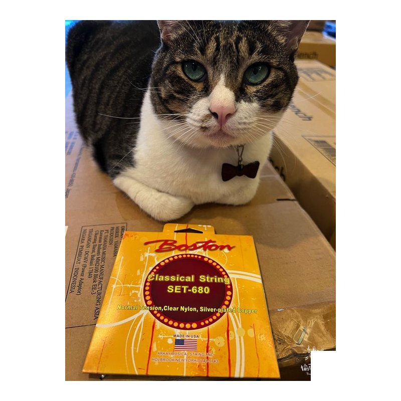D'Addario BOSTON SET-680 高級古典吉他弦 尼龍弦 美國製造D'Addario弦 在台包裝 set680 古典吉他弦 — 三峽吉他 / Bass