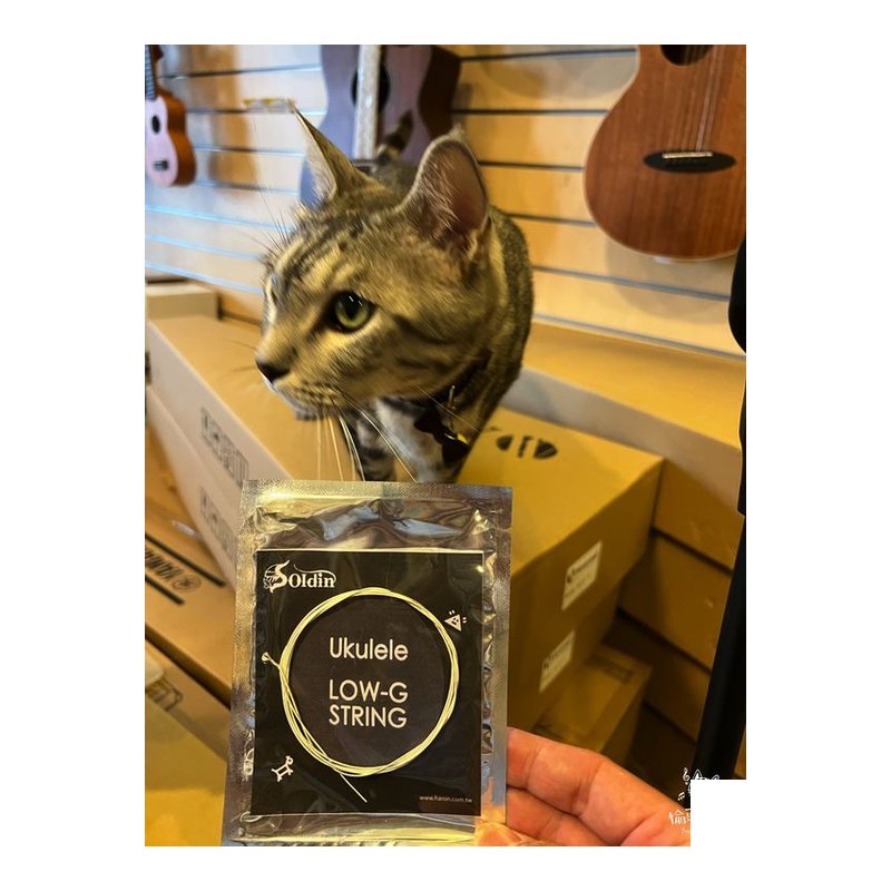 D'Addario Low G 烏克麗麗單弦 獨立PVC袋包裝 尼龍弦 烏克麗麗弦 — 三峽烏克麗麗