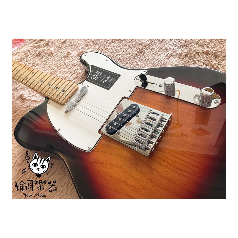 ♪ Your Music 愉耳樂器♪Fender Player Telecaster 單單 電吉他 楓木指板 三色漸層 Fender Player Telecaster 單單 電吉他 楓木指板 三色漸層 — 三峽吉他 / Bass
