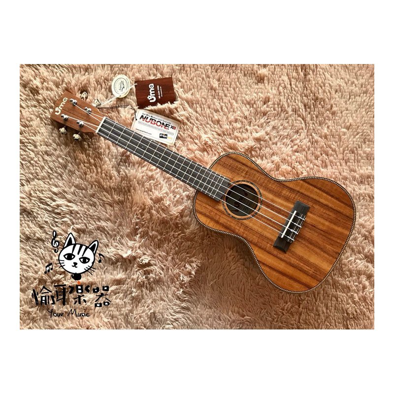 ♪ Your Music 愉耳樂器♪ UMA UK-15SC 23吋 相思木面單 UMA UK-15SC 23吋 相思木面單 — 三峽吉他 / Bass