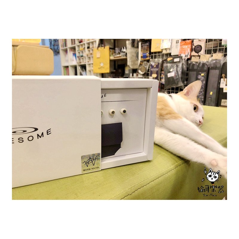 ♪ Your Music ♪ AWESOME 奧昇裝置  改良裝置 提升音色 民謠吉他弦釘 弦丁 弦豆 AWESOME 奧昇裝置 改良裝置 提升音色 民謠吉他弦釘 弦丁 弦豆 — 三峽吉他 / Bass