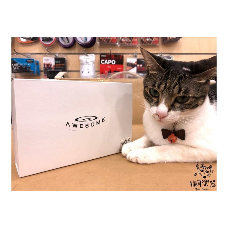 ♪ Your Music ♪ AWESOME 奧昇裝置  改良裝置 提升音色 民謠吉他弦釘 弦丁 弦豆 AWESOME 奧昇裝置 改良裝置 提升音色 民謠吉他弦釘 弦丁 弦豆 — 三峽吉他 / Bass