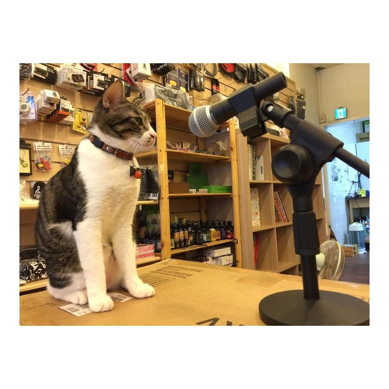 ♪ Your Music 愉耳樂器♪ DS-11 桌上型 麥克風架 附夾頭 好收納 網紅必備 DS-11 桌上型 麥克風架 附夾頭 好收納 網紅必備 — 三峽麥克風