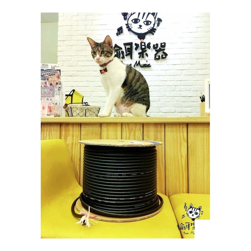 ♪ Your Music 愉耳樂器♪實體店面 日本原裝 canare 4S8 喇叭線 4蕊 入門線材首選 黑色外皮 實體店面 日本原裝 canare 4S8 喇叭線 4蕊 入門線材首選 黑色外皮 — 三峽錄音 / 音響