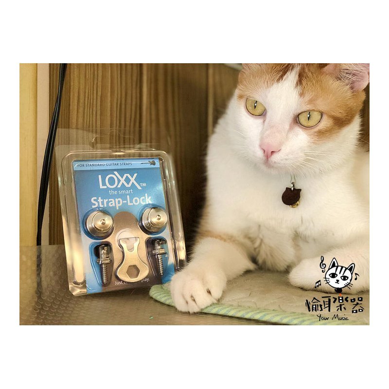 ♪ Your Music 愉耳樂器♪LOXX-E-NICKEL 德製安全肩帶扣 輕鬆銀 鍍鎳 安裝簡單 最小體積 LOXX-E-NICKEL 德製安全肩帶扣 輕鬆銀 鍍鎳 安裝簡單 最小體積 — 三峽配件 / 週邊