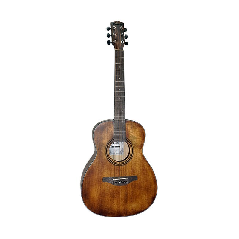 ♪ Your Music 愉耳樂器♪公司貨 Soldin SA-3630A  36吋旅行吉他 附袋 公司貨 Soldin SA-3630A 36吋旅行吉他 附袋 — 三峽吉他 / Bass