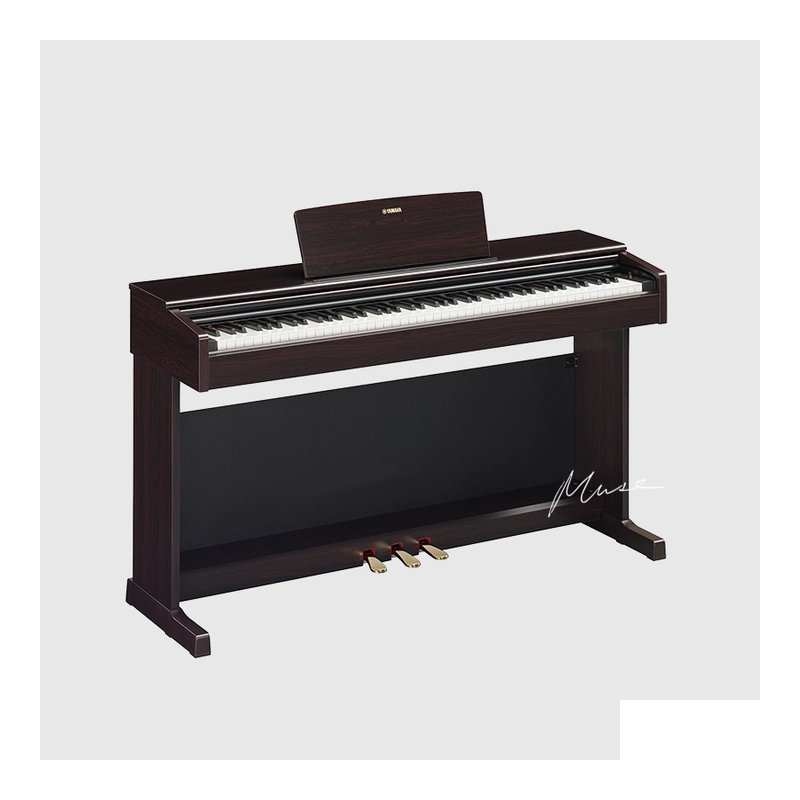 Yamaha YAMAHA YDP-145 數位鋼琴 入門款 — 三峽電鋼琴 / 鍵盤