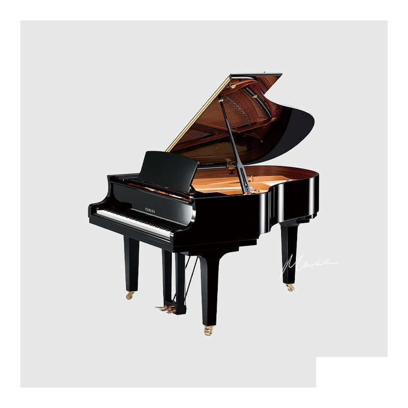 Yamaha YAMAHA C2X | 173cm — 三峽配件 / 週邊