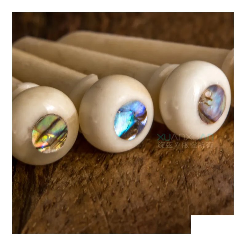 John Pearse - 駱駝骨弦釘(6顆/組) 附真皮皮套 吉他弦釘 止弦釘 — 三峽配件 / 週邊