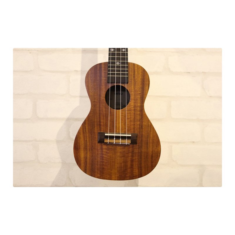 UKAKU UKAKU - C280 23吋單板烏克麗麗 虎紋桃花心 — 三峽烏克麗麗