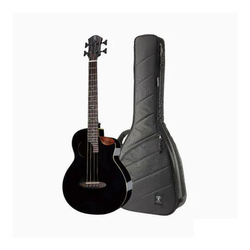 aNueNue aNueNue MBS18E 木貝斯 空心貝斯 可接電 表演款 旅行貝斯 小貝斯 — 三峽吉他 / Bass