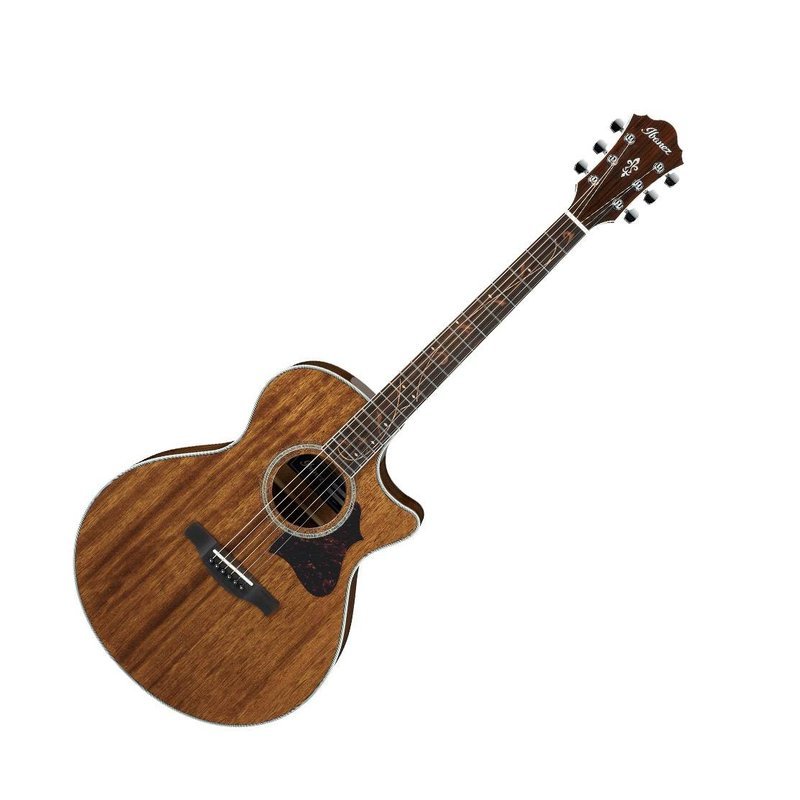 Ibanez Ibanez AE245 電木吉他 — 三峽木吉他 / 民謠吉他
