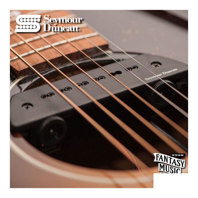 Seymour Duncan Mag Mic SA6 響孔式/麥克風雙系統 民謠吉他拾音器 (主動式) | Seymour Duncan — 三峽木吉他 / 民謠吉他