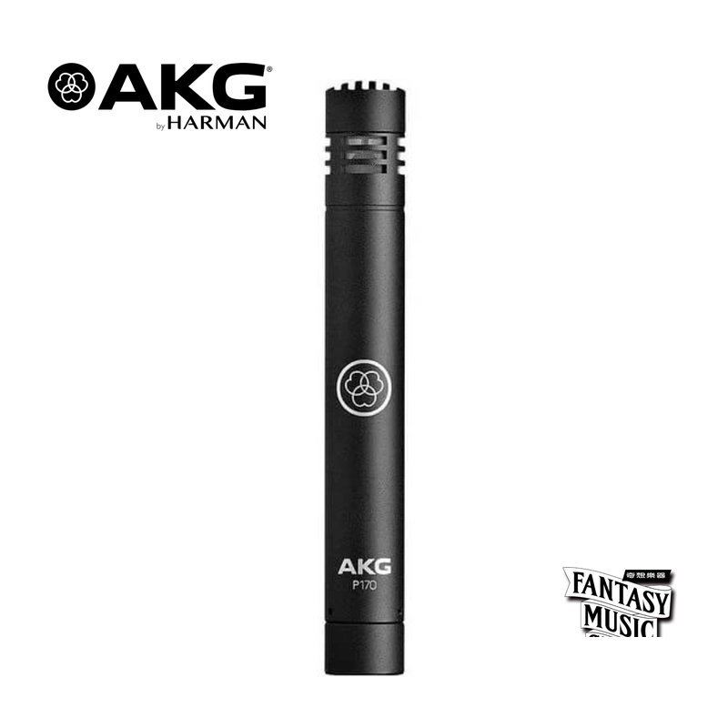 AKG AKG P170 電容式麥克風 — 三峽弦樂器