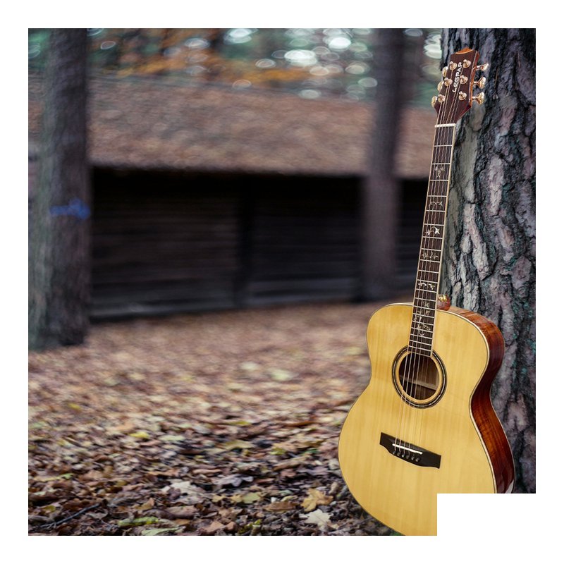 LEGPAP LEGPAP OM485NA 41吋 OM桶 雲杉木 全單板吉他 相思木側背板 民謠吉他 — 三峽木吉他 / 民謠吉他