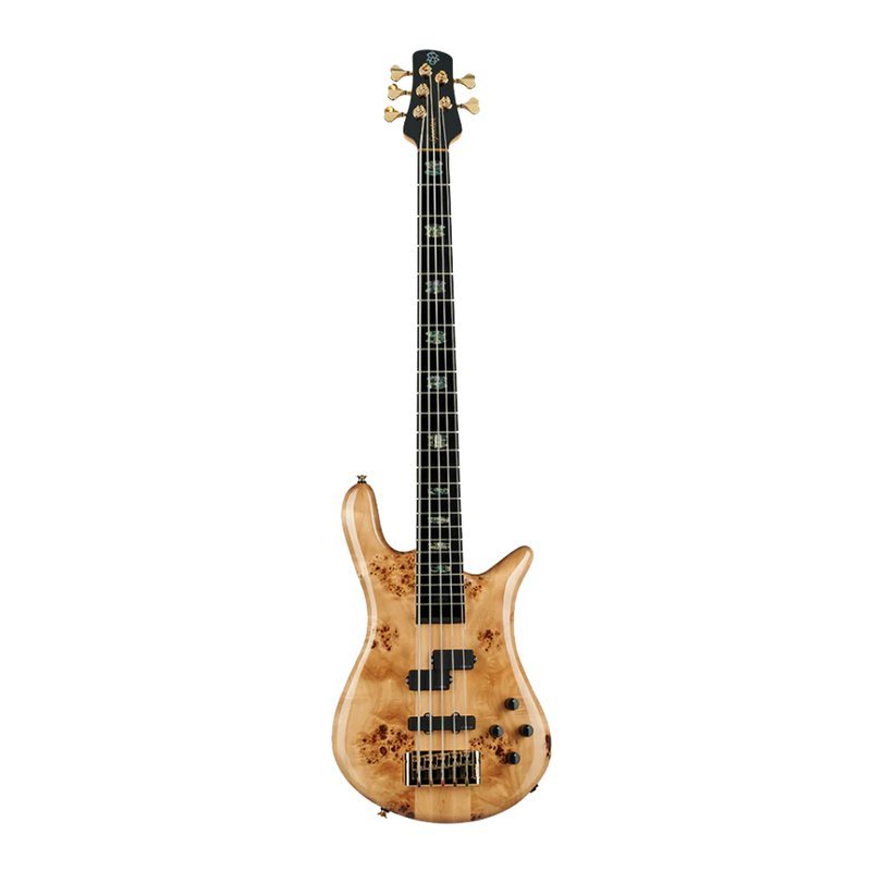【SPECTOR】 電貝斯 Euro CST 5 String 5弦 BASS EURO5CSTNAT 亮光原木色 — 三峽吉他 / Bass