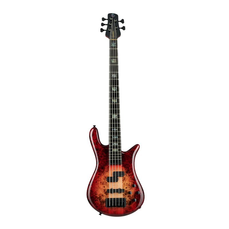 【SPECTOR】 電貝斯 Euro CST 5 String 5弦 BASS EURO5CSTRED 亮光漸層紅 — 三峽吉他 / Bass