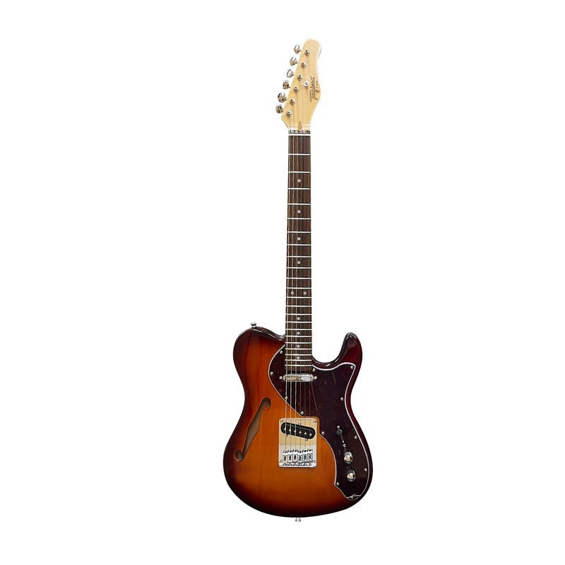 TAGIMA TAGIMA BRASIL T-920 電吉他 F音孔 漸層色 — 三峽電吉他