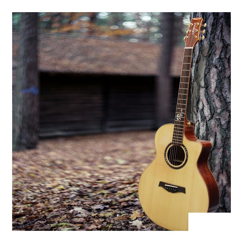 LEGPAP LEGPAP GA300NA-M 41吋 GA桶 雲杉木 全單板吉他 桃花心木側背板 民謠吉他 — 三峽木吉他 / 民謠吉他