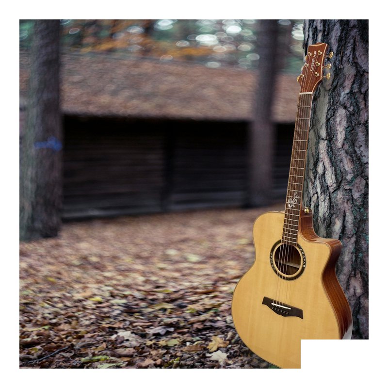 LEGPAP LEGPAP GA300NA-K 41吋 GA桶 雲杉木 全單板吉他 相思木側背板 民謠吉他 — 三峽木吉他 / 民謠吉他