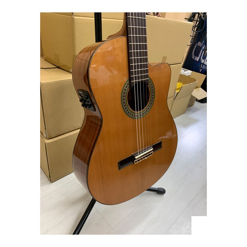 Alvarez 【Alvarez】AC65CE 古典吉他 — 三峽古典吉他