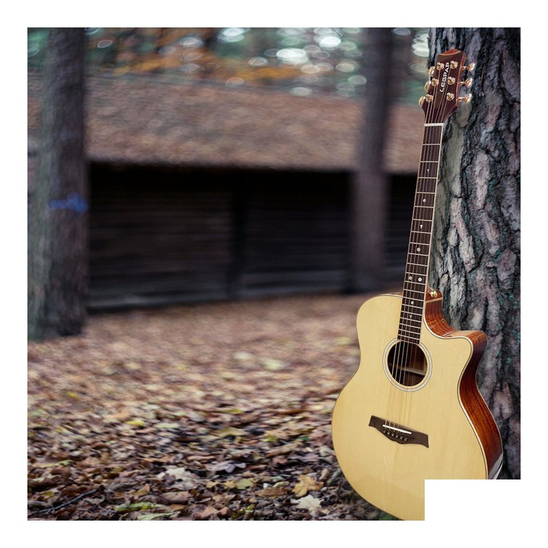 LEGPAP LEGPAP GA485NA 41吋 GA桶 雲杉木 全單板吉他 玫瑰木側背板 民謠吉他 — 三峽木吉他 / 民謠吉他