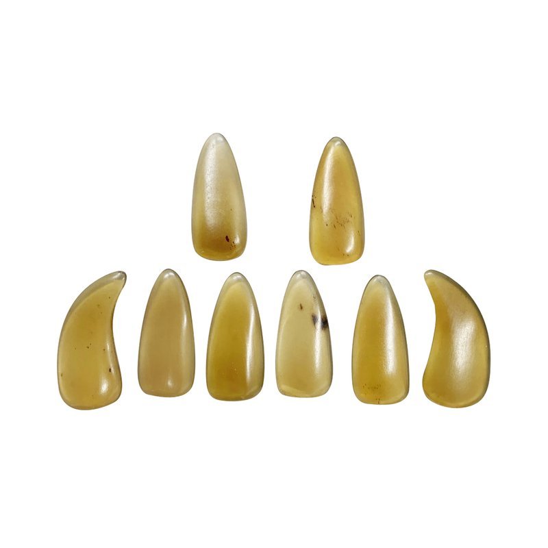 古箏義甲-牛角指甲 (一組8片)-琥珀色 — 三峽配件 / 週邊