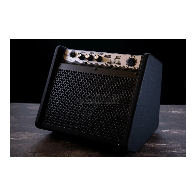 Coolmusic Coolmusic DM-20 20W 電子鼓 電子琴 專用藍牙音箱 全頻率音箱 — 三峽電鋼琴 / 鍵盤