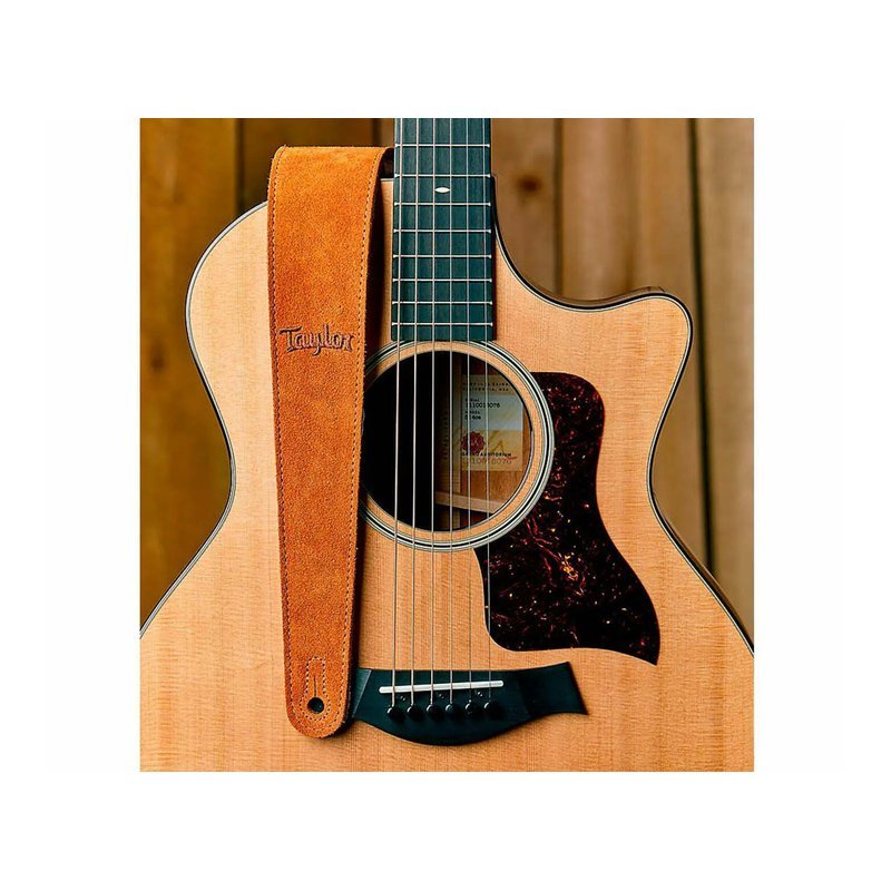 Taylor Taylor 背帶 刺繡麂皮吉他背帶 蜂蜜金色 TS Honey TLOP-4402-25 — 三峽木吉他 / 民謠吉他