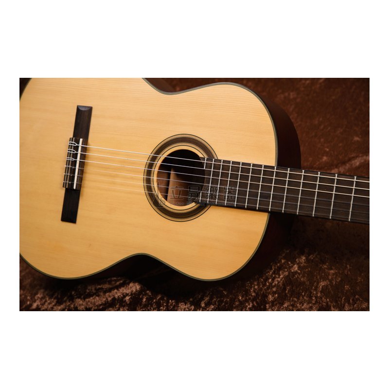 Cordoba 古典吉他 Cordoba C3-SM 平光雲杉面單板 附厚袋 — 三峽古典吉他