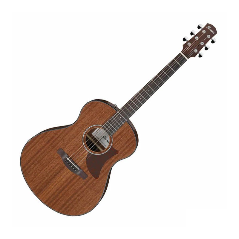 Ibanez Ibanez AAM54 桃花心木面單 沙比利木側背 側響孔 民謠吉他 — 三峽木吉他 / 民謠吉他