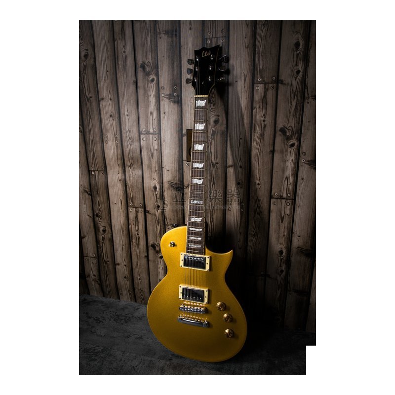 ESP ESP LTD Gold Top Les Paul EC-256 MGO 無搖座 — 三峽電吉他