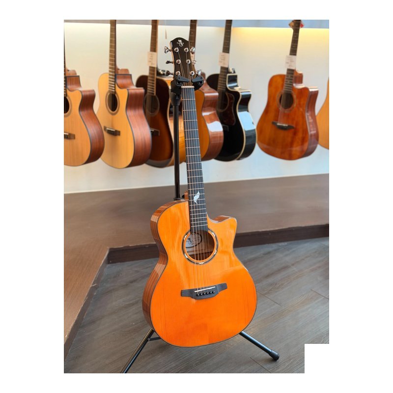 NAGA吉他 NAGA吉他 風系列 伍伍慧代言 G-08OOCYE 橙黃色亮光 英格曼雲杉面板/沙比利側背 面單板木吉他 41吋 OOC桶身缺角 附原廠厚琴袋 — 三峽木吉他 / 民謠吉他