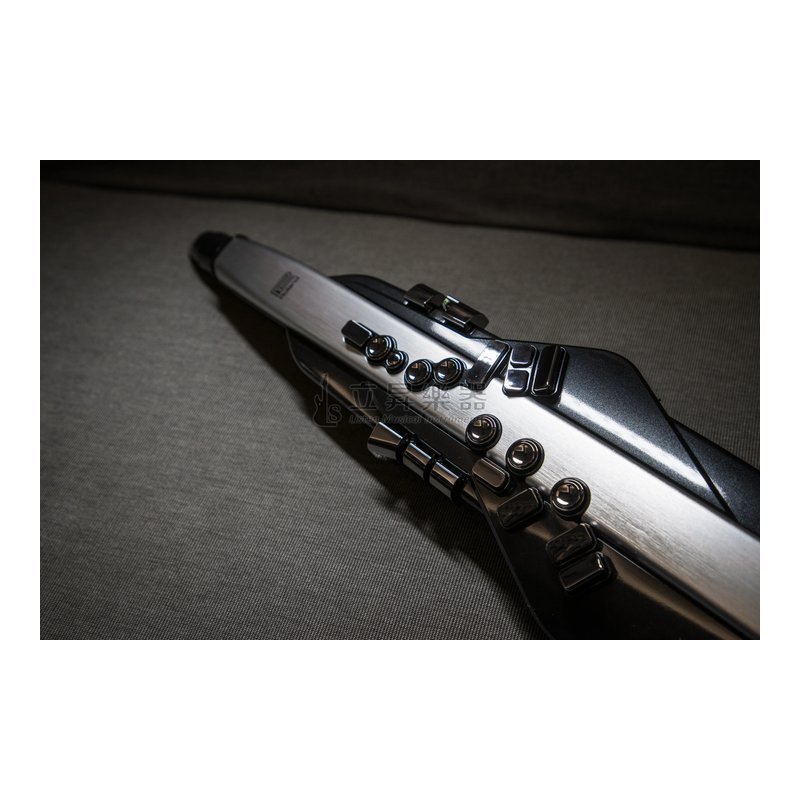 【現貨供應】Roland AE-30 數位吹管 電吹管 Aerophone Pro AE30 附原廠專用盒、多樣配件 — 三峽銅管 / 管樂