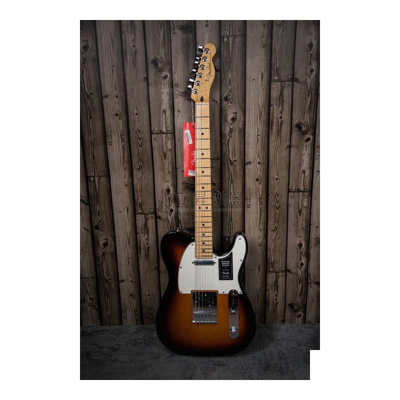 Fender Fender Player Telecaster MN 3TS 單單 電吉他 楓木指板 三色漸層 送防潑水琴袋 — 三峽木吉他 / 民謠吉他