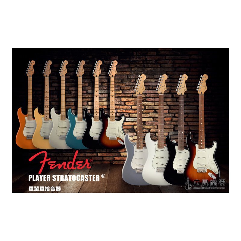 Fender Fender Player 系列 Stratocaster 單單單 楓木指板/鐵木指板 小搖座電吉他 墨廠 — 三峽電吉他