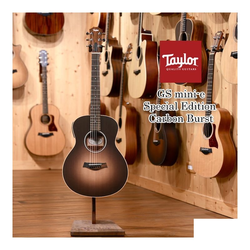 GSmini-e Special Edition Carbon Burst 含ES-B 碳色漸層 — 三峽配件 / 週邊