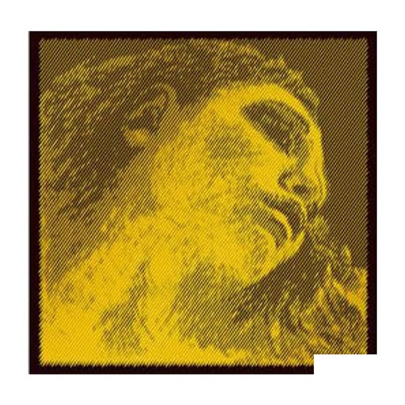 EV 小提琴弦 (第三弦 D弦) 德國PIRASTRO Evah Pirazzi Gold 415321 金美人 — 三峽弦樂器