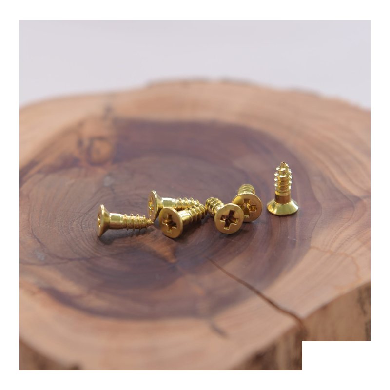 日本進口 渡邊商店 #24-8 木螺絲 黃銅平頭 2.4x8(100pcs) — 三峽配件 / 週邊