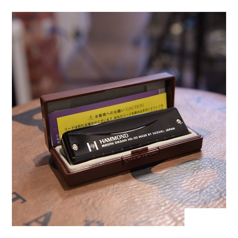 SUZUKI SUZUKI HA-20C 民謠10孔口琴 鋁合金 HA-20 — 三峽木管樂器