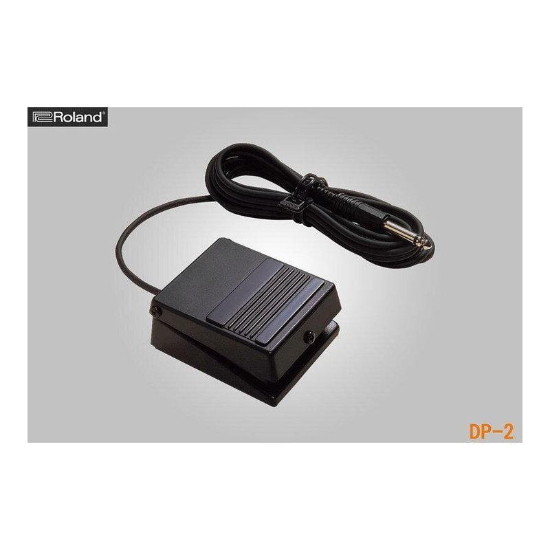 樂蘭 Roland  DP-2 堅固耐用 延音踏板 樂蘭 Roland DP-2 堅固耐用 延音踏板 / 腳踏開關踏板 — 三峽延音踏板