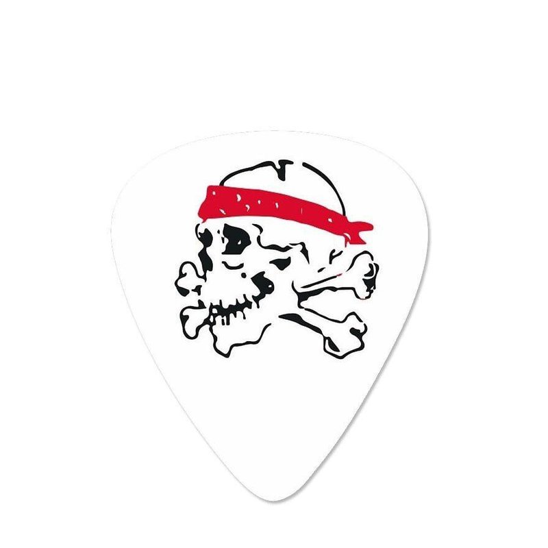 美國 D'Andrea Ace Skull PICK 彈片 RSB351MD — 三峽配件 / 週邊